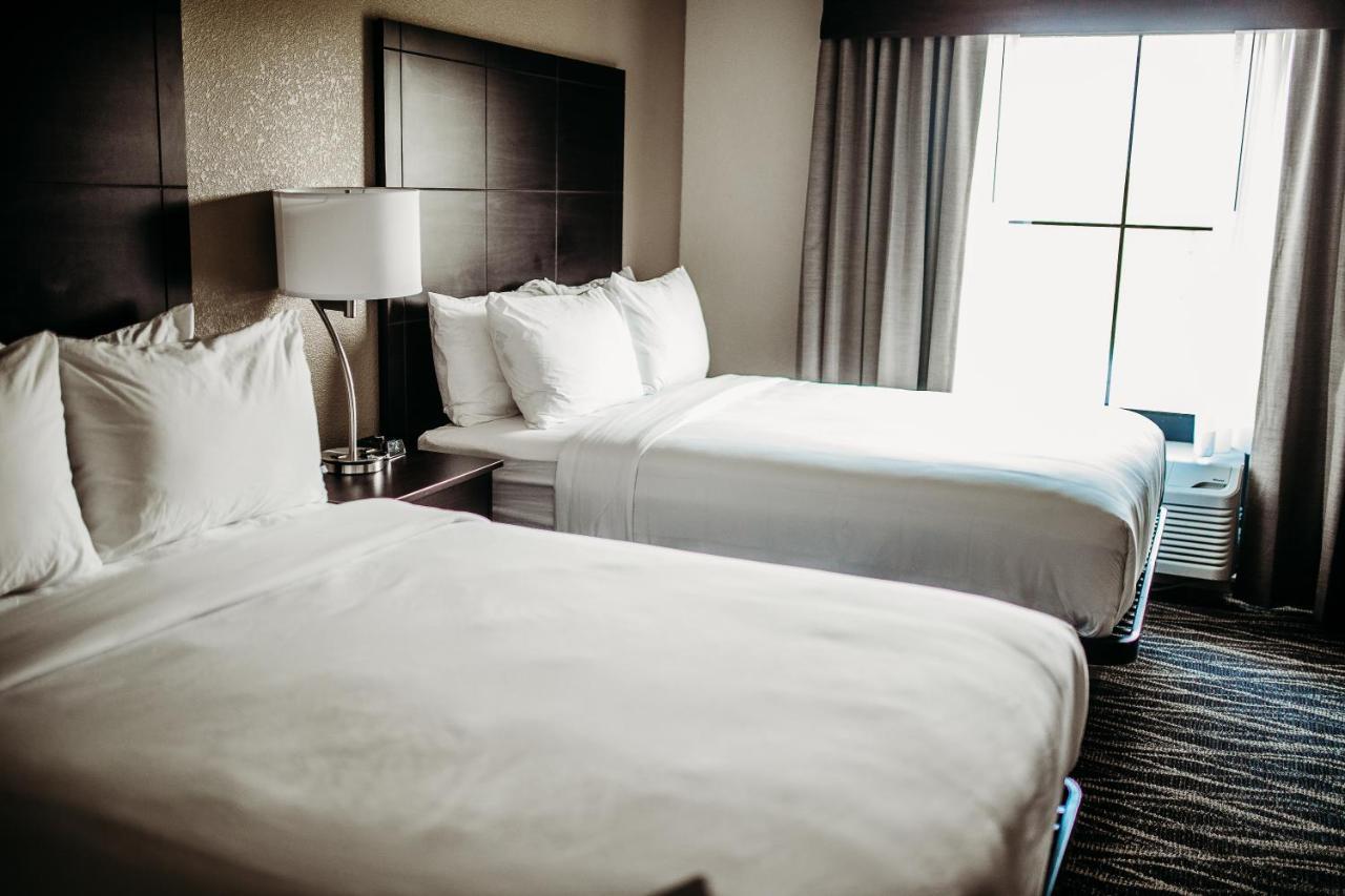 Cobblestone Hotel & Suites 인터내셔널 폴스 외부 사진
