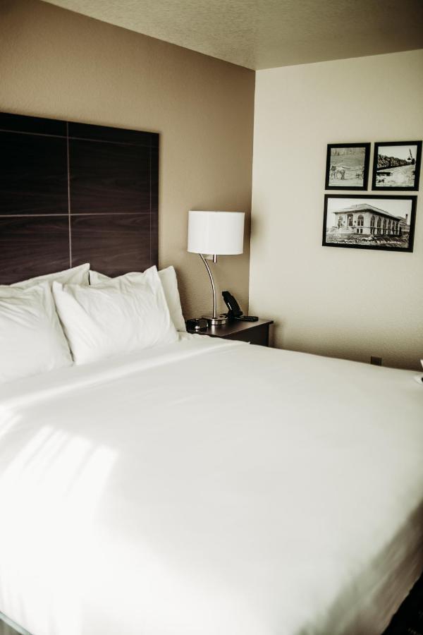 Cobblestone Hotel & Suites 인터내셔널 폴스 외부 사진