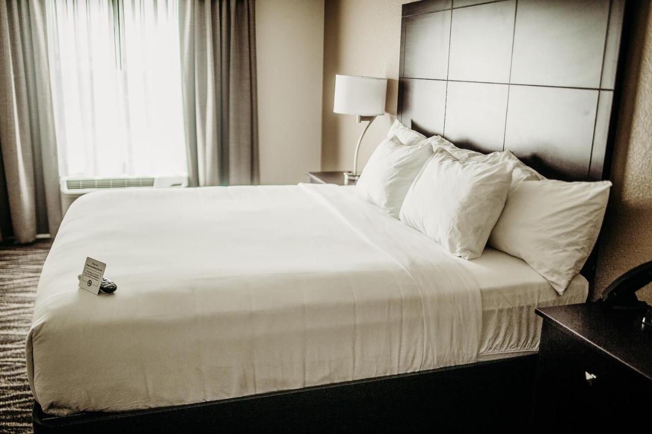 Cobblestone Hotel & Suites 인터내셔널 폴스 외부 사진
